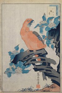 無題 作： Nakayama Sugakudo